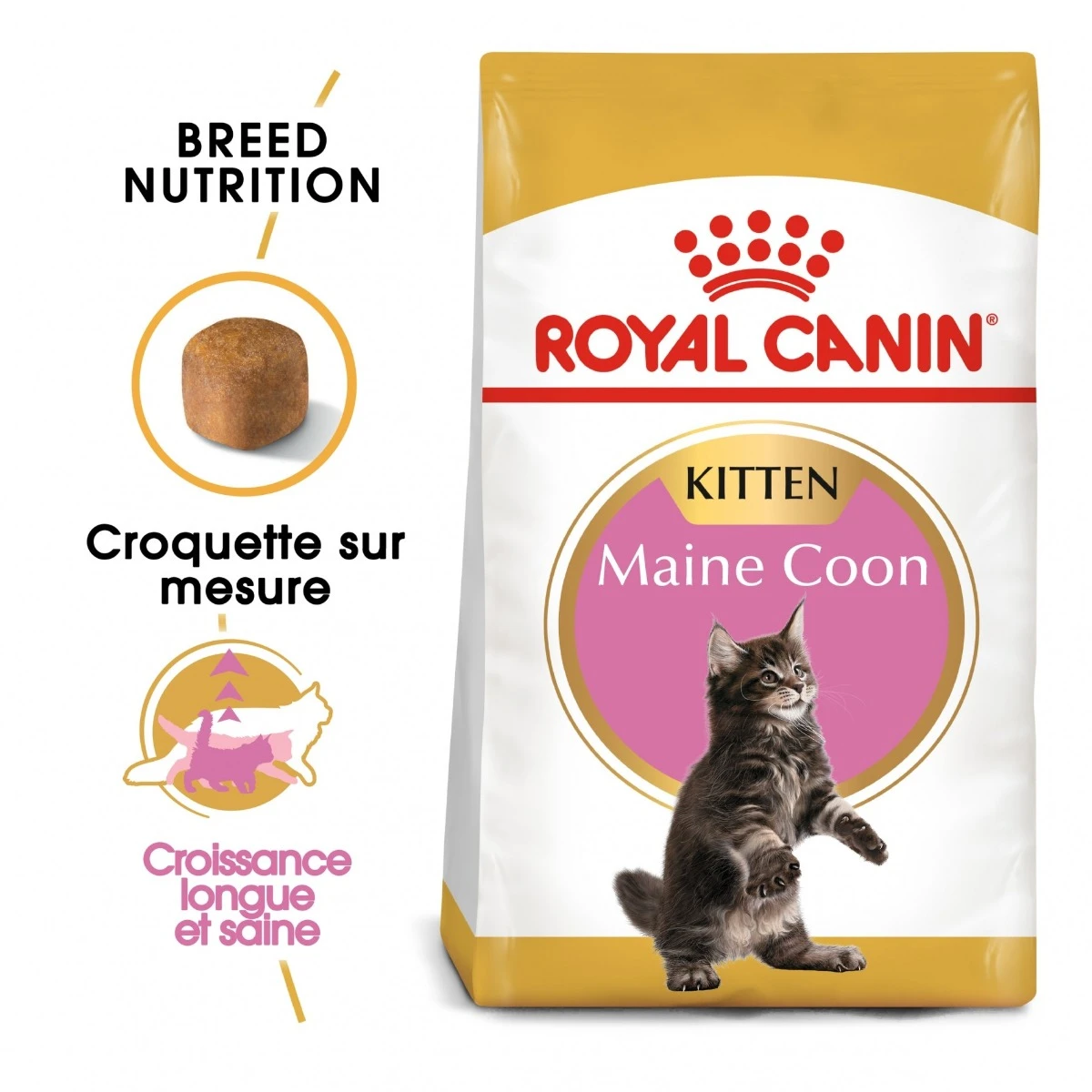 Royal Canin Maine Coon Kitten Kat 10kg 3 Royal Canin Maine Coon Kitten Kat 10kg - Afbeelding 3
