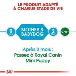 Royal Canin Mini Starter Mother & Babydog 8kg -Dierbenodigdheden Verkoop royal canin mini starter mini starter 4