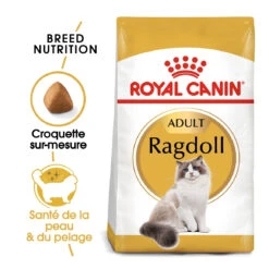 Royal Canin Ragdoll Adult Kat 10kg -Dierbenodigdheden Verkoop royal canin ragdoll adult ragdoll 1 1