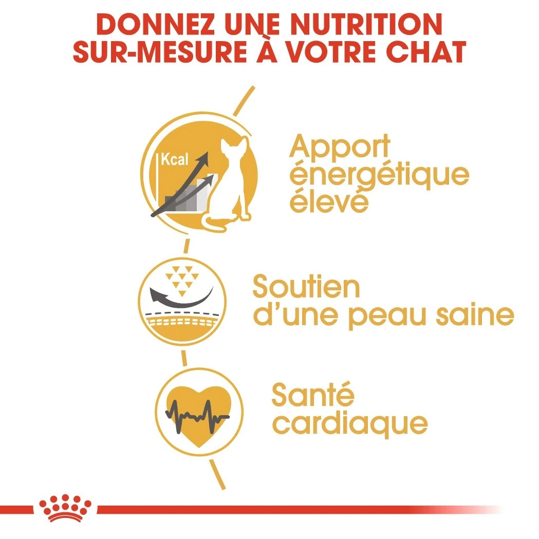 Royal Canin Sphynx 33 - Kattenvoer - 10kg 4 Royal Canin Sphynx 33 - Kattenvoer - 10kg - Afbeelding 4